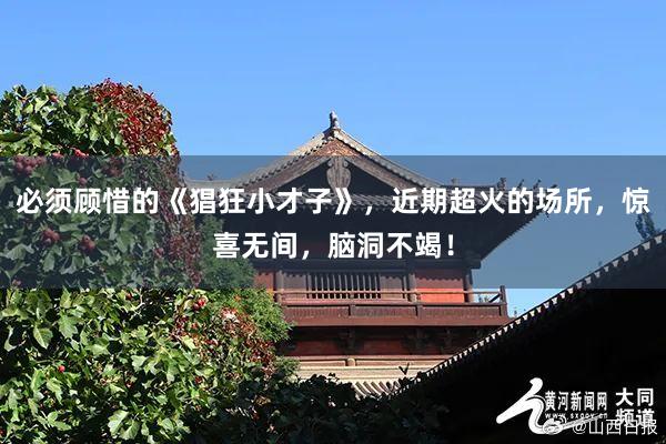 必须顾惜的《猖狂小才子》，近期超火的场所，惊喜无间，脑洞不竭！