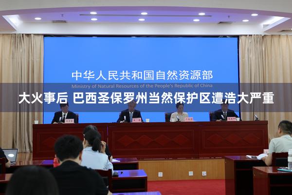 大火事后 巴西圣保罗州当然保护区遭浩大严重