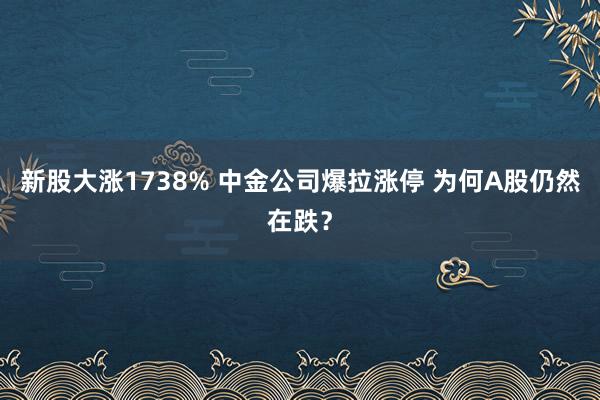 新股大涨1738% 中金公司爆拉涨停 为何A股仍然在跌？