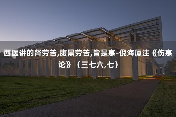 西医讲的肾劳苦,腹黑劳苦,皆是寒-倪海厦注《伤寒论》（三七六,七）