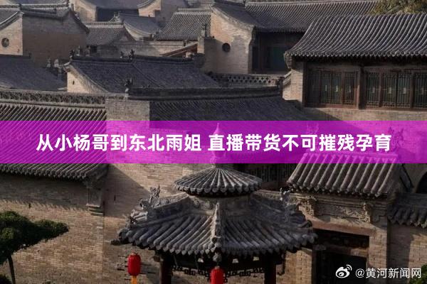 从小杨哥到东北雨姐 直播带货不可摧残孕育