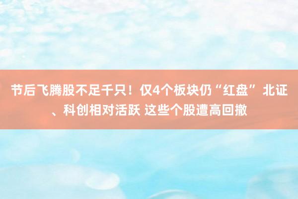 节后飞腾股不足千只！仅4个板块仍“红盘” 北证、科创相对活跃 这些个股遭高回撤