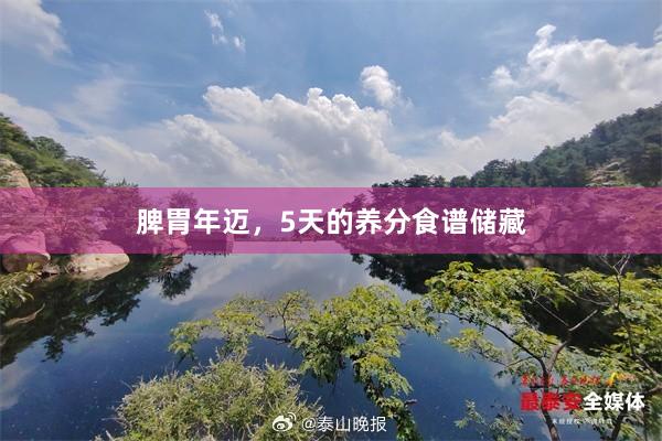 脾胃年迈，5天的养分食谱储藏