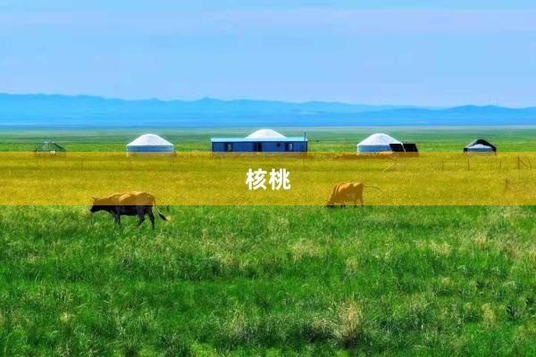 核桃
