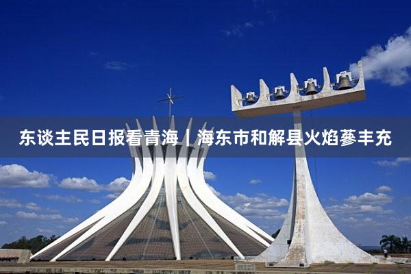 东谈主民日报看青海｜海东市和解县火焰蔘丰充