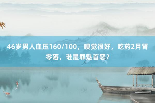 46岁男人血压160/100，嗅觉很好，吃药2月肾零落，谁是罪魁首恶？