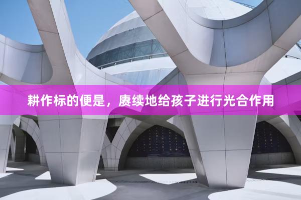 耕作标的便是，赓续地给孩子进行光合作用