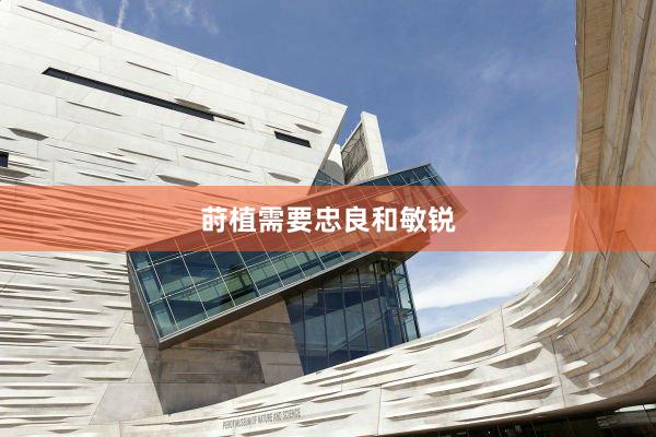 莳植需要忠良和敏锐
