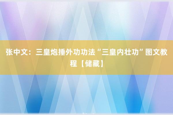 张中文：三皇炮捶外功功法“三皇内壮功”图文教程【储藏】