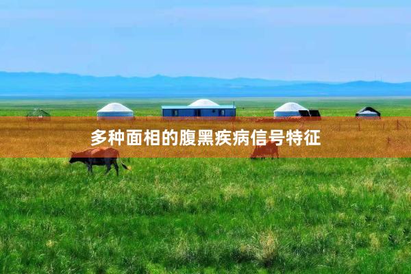 多种面相的腹黑疾病信号特征