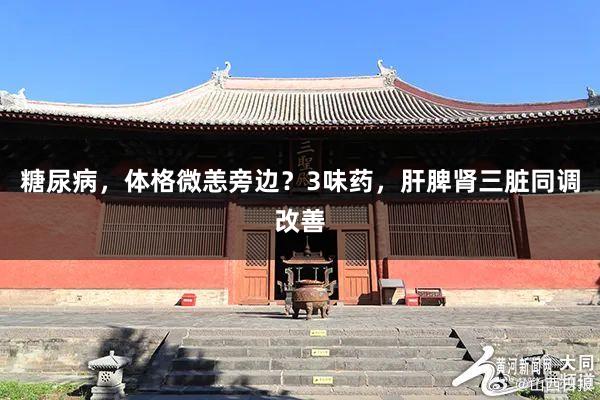 糖尿病，体格微恙旁边？3味药，肝脾肾三脏同调改善