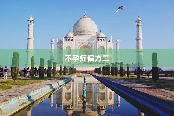 不孕症偏方二