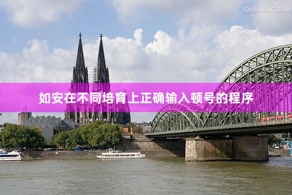 如安在不同培育上正确输入顿号的程序
