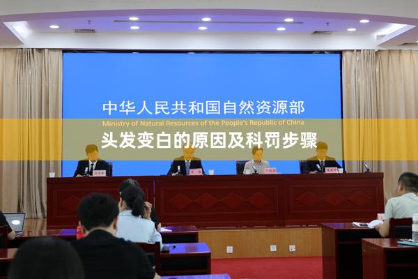 头发变白的原因及科罚步骤