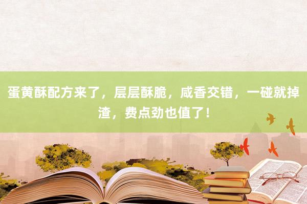 蛋黄酥配方来了，层层酥脆，咸香交错，一碰就掉渣，费点劲也值了！