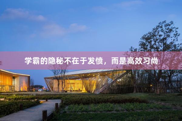 学霸的隐秘不在于发愤,而是高效习尚
