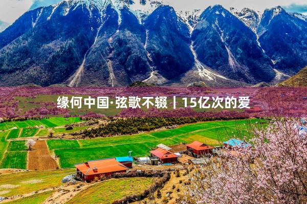 缘何中国·弦歌不辍｜15亿次的爱