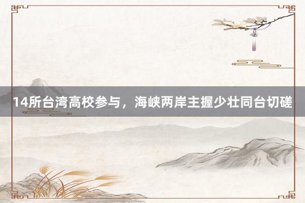 14所台湾高校参与，海峡两岸主握少壮同台切磋