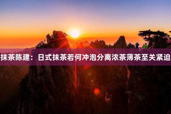 抹茶陈建：日式抹茶若何冲泡分离浓茶薄茶至关紧迫