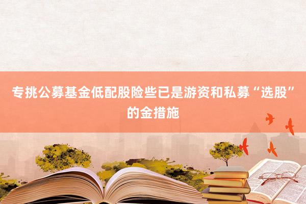 专挑公募基金低配股险些已是游资和私募“选股”的金措施