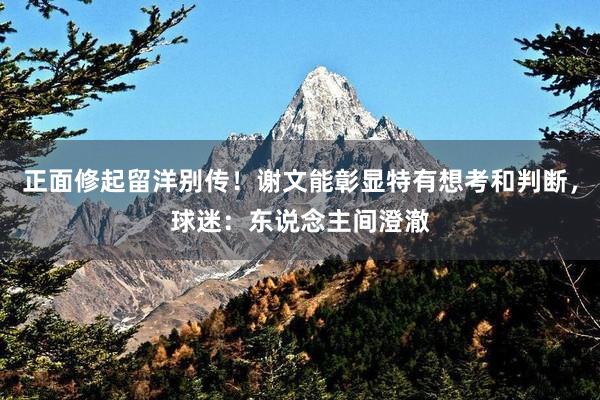 正面修起留洋别传！谢文能彰显特有想考和判断，球迷：东说念主间澄澈
