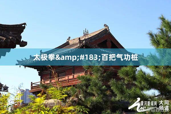 太极拳&#183;百把气功桩
